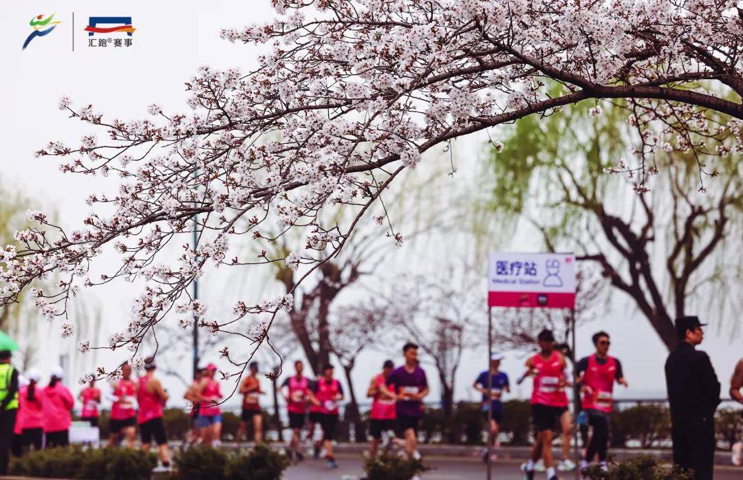 2025最新陪跑项目