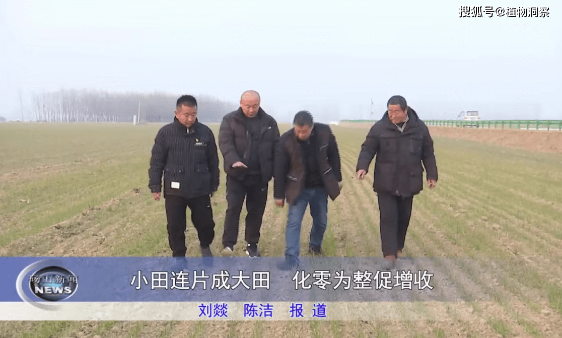 2025年一号文件农村土地改革