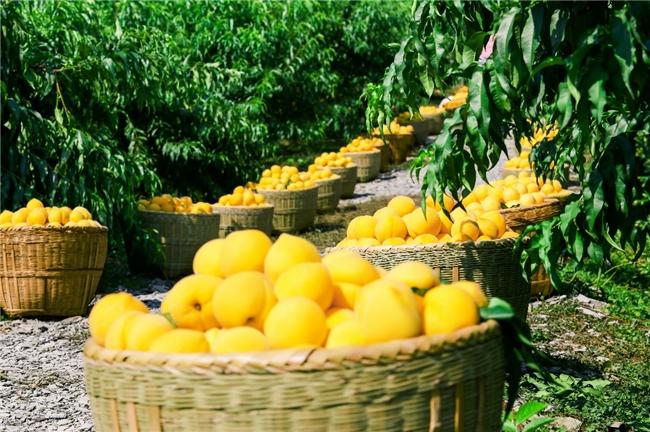 2025最新陪跑项目 2025最新陪跑项目