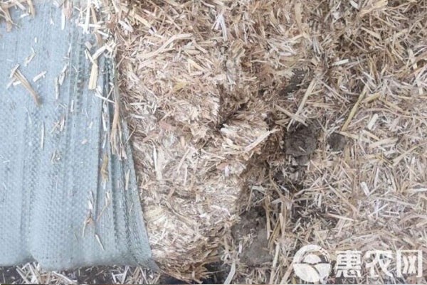 2025新兴行业 2025新兴行业