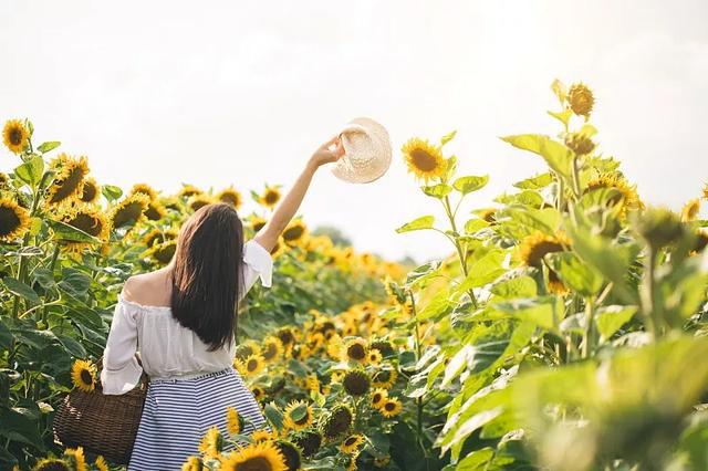 最聪明的养老方式