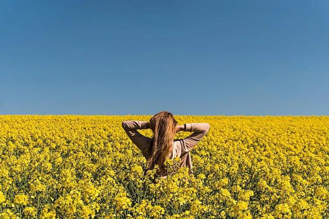 最聪明的养老方式