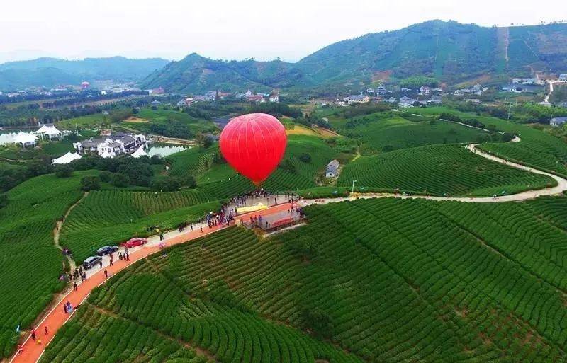 农产品电商平台有哪些?