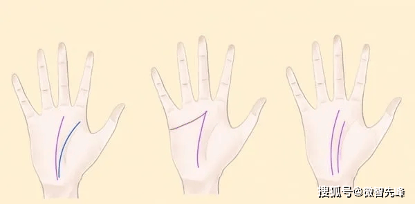 如何看手相