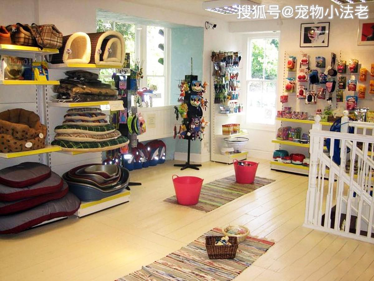 宠物市场什么比较暴利