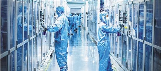数字经济创业十大行业