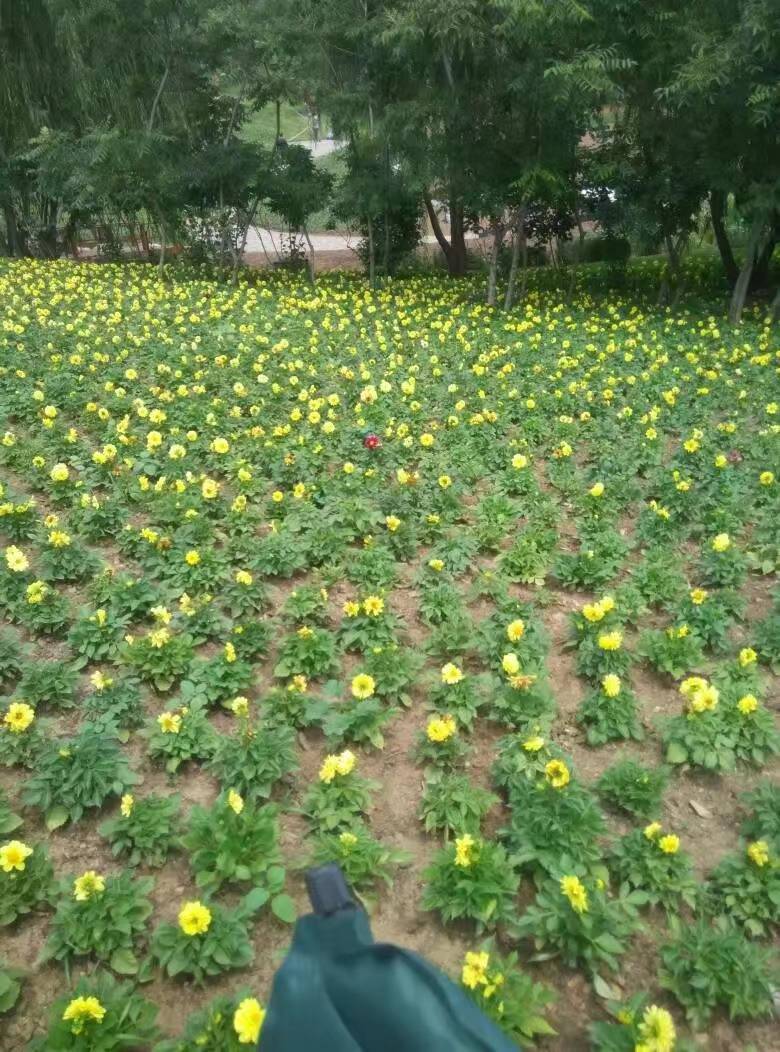 十大含金量证书