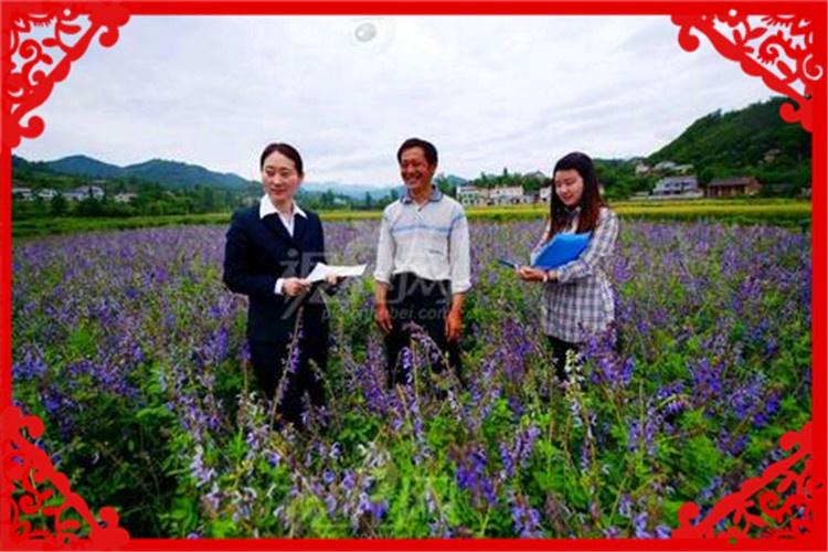 赚钱项目创业有哪些 赚钱项目创业有哪些类型