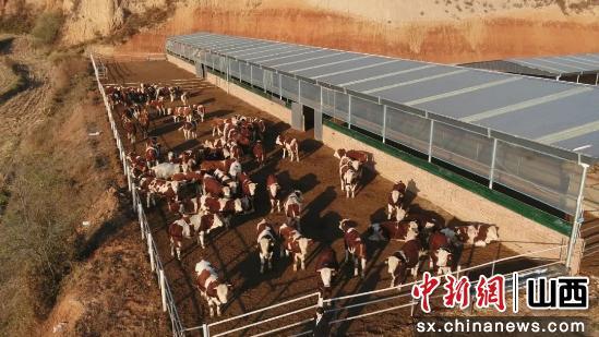 新质消费是什么