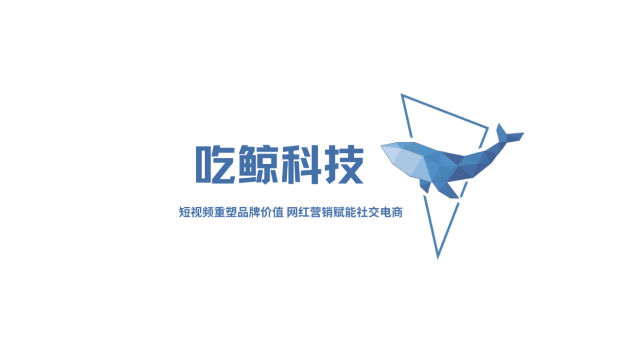 纯佣金带货