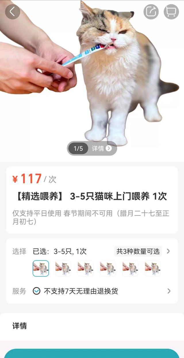 宠物代遛项目介绍