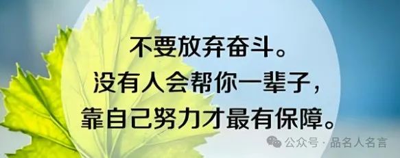 低配人生最精辟的句子