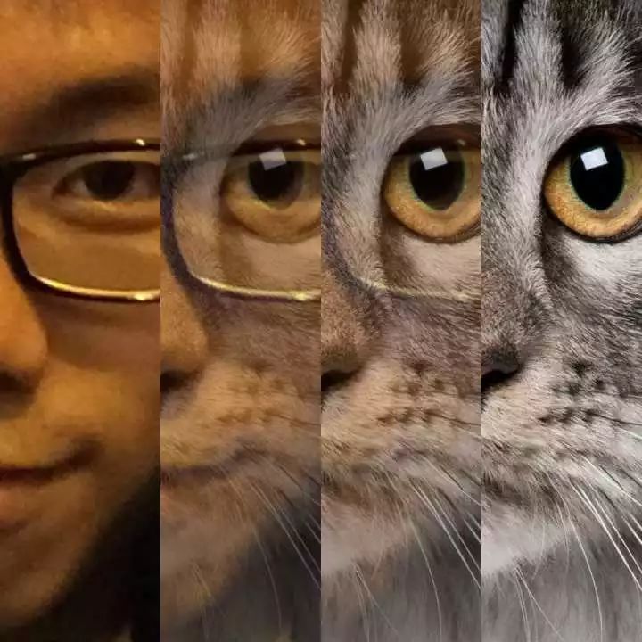 你知道哪些冷门但逆天的app