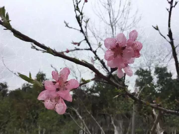 你知道哪些冷门但逆天的app