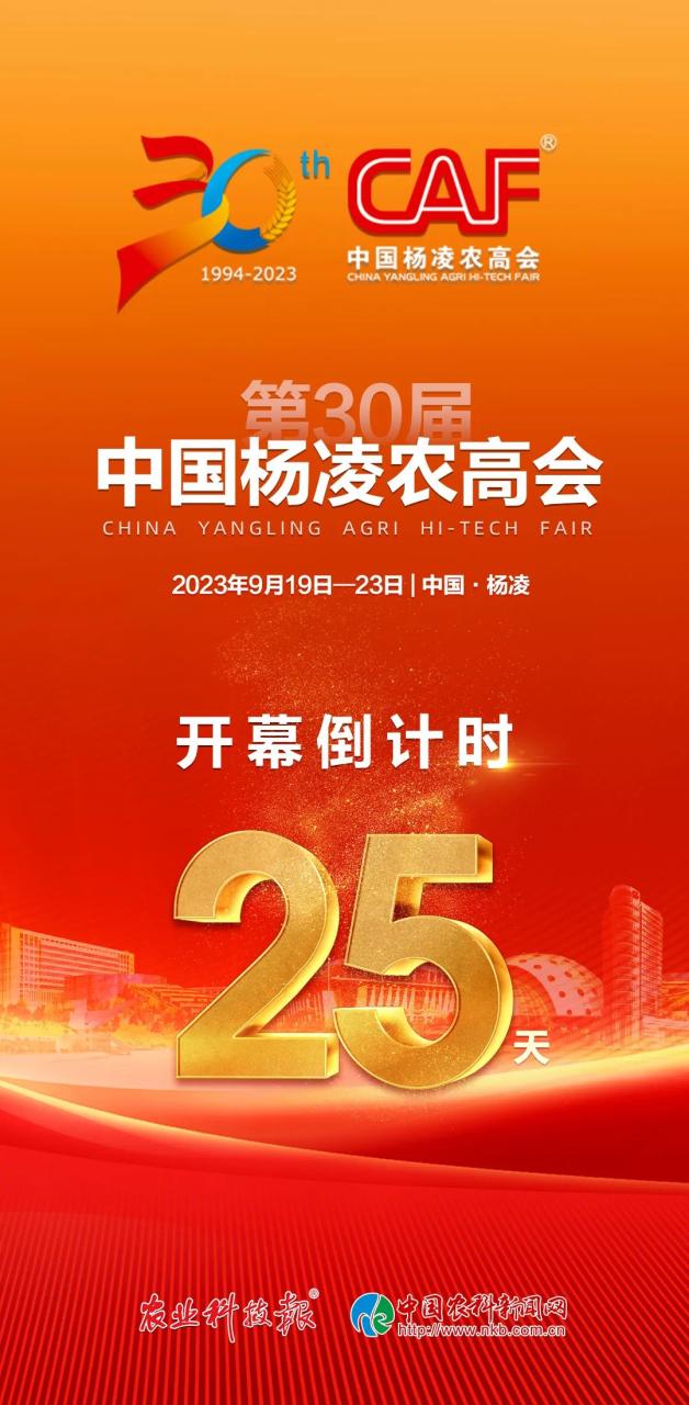 预制菜市场前景以及未来趋势