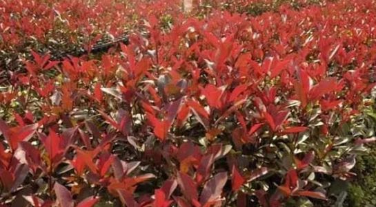 小买卖创业项目推荐 小买卖创业项目推荐