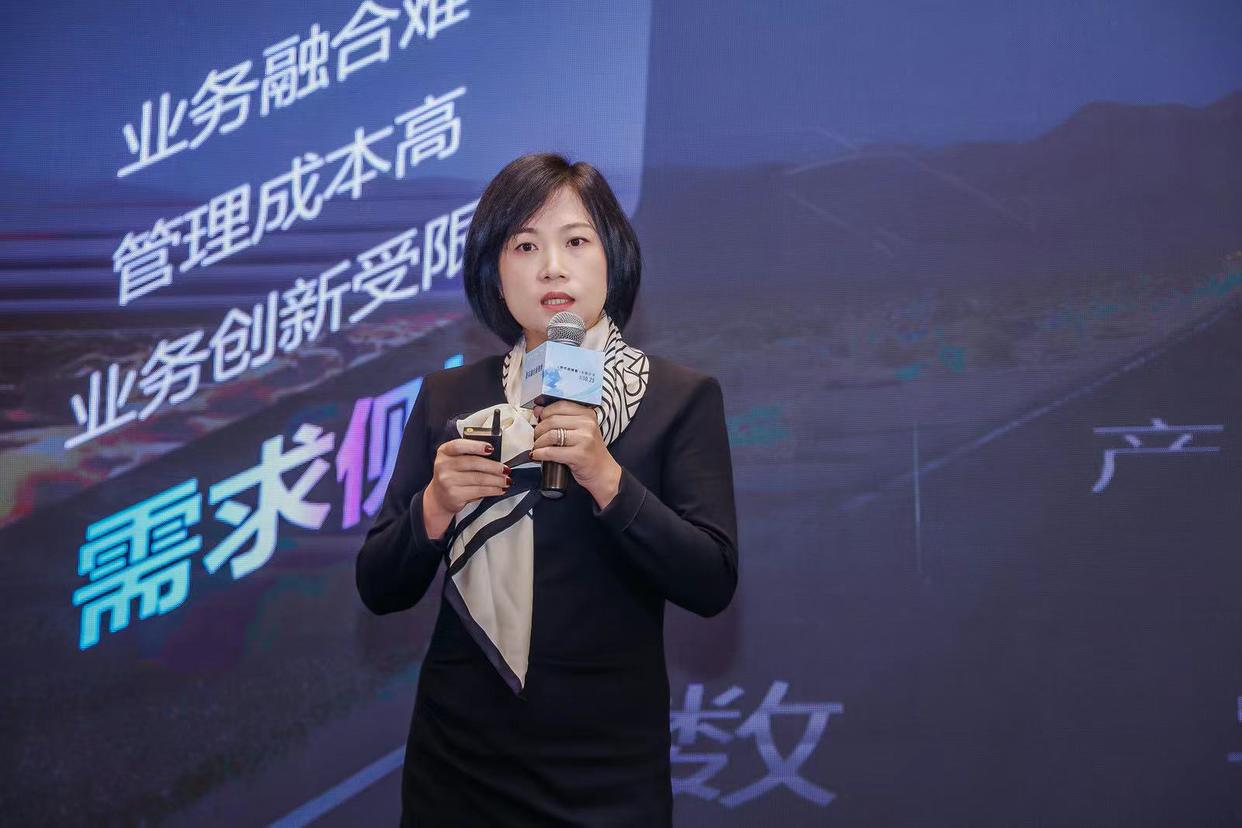 数实融合是什么意思
