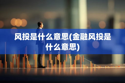 风投是什么意思