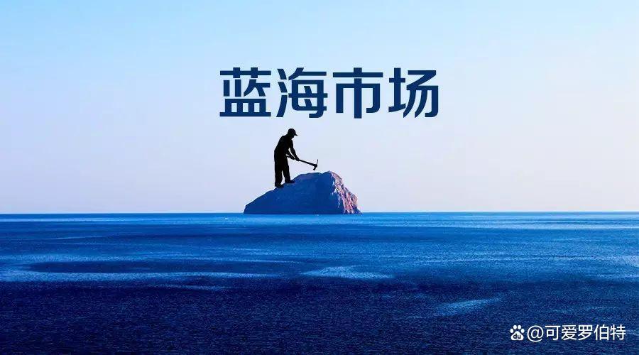 蓝海项目电商