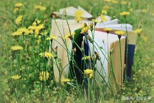 碎片化信息是什么意思