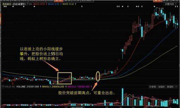 中国股市:股市真正厉害的人,如何一步步走出来的? 中国股市:股市真正厉害的人,如何一步步走出来的?