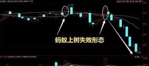 中国股市:股市真正厉害的人,如何一步步走出来的? 中国股市:股市真正厉害的人,如何一步步走出来的?