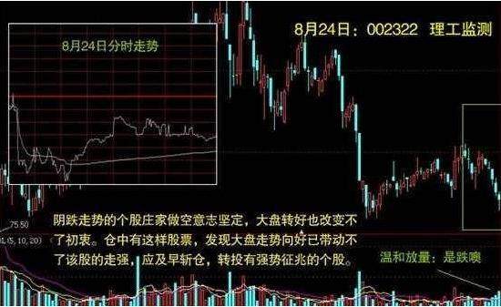中国股市:股市真正厉害的人,如何一步步走出来的? 中国股市:股市真正厉害的人,如何一步步走出来的?