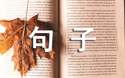 容易上热门的文案句子