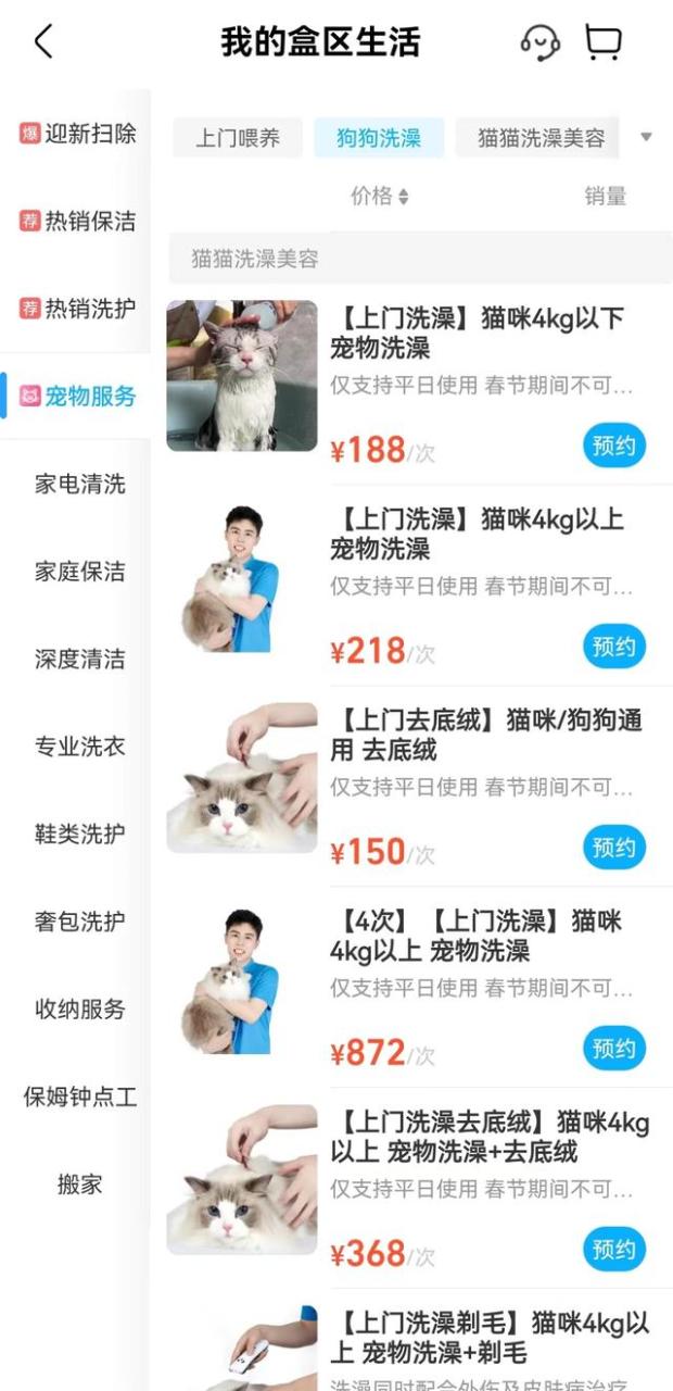 宠物代遛项目介绍