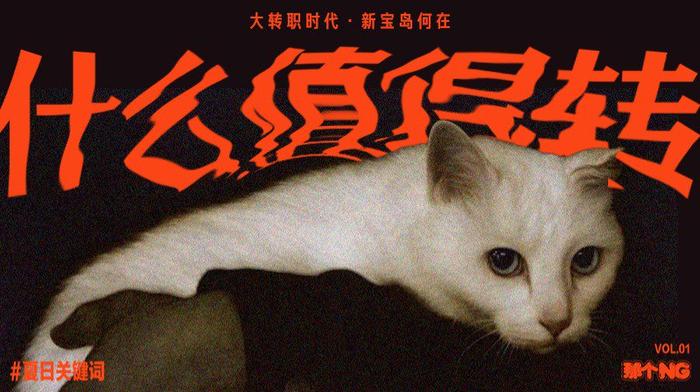 哪里可以培训宠物殡葬师