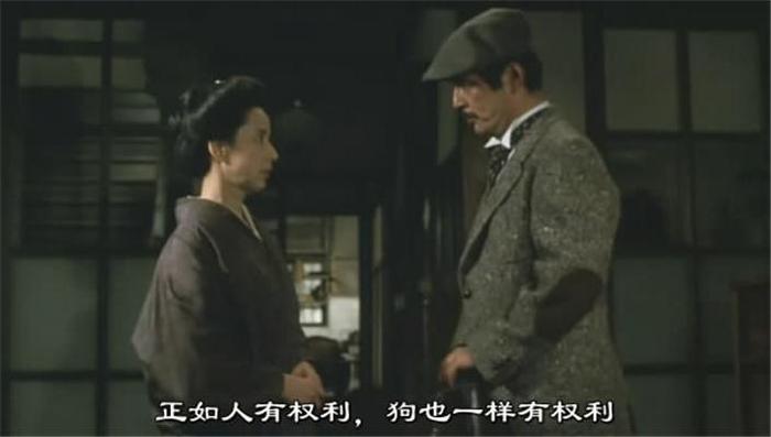 哪里可以培训宠物殡葬师
