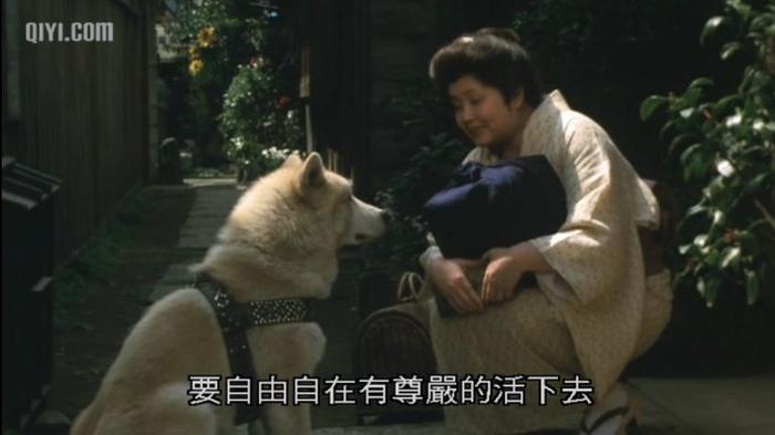 哪里可以培训宠物殡葬师