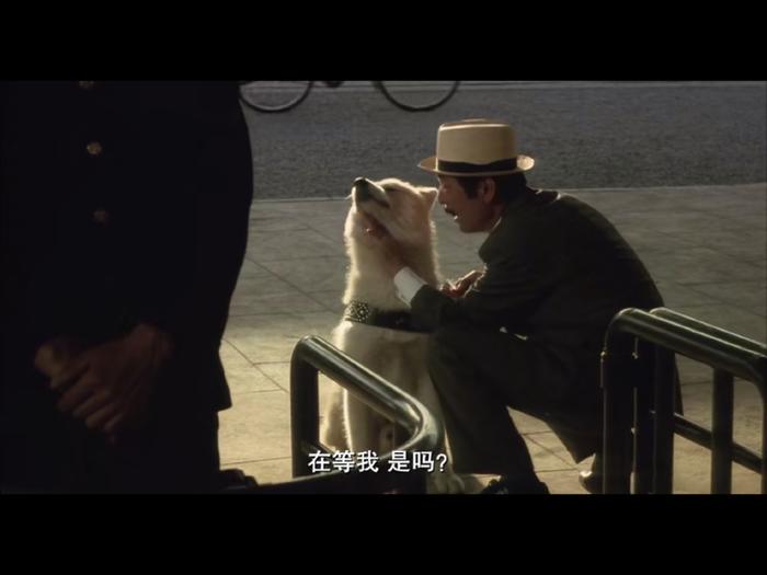 哪里可以培训宠物殡葬师