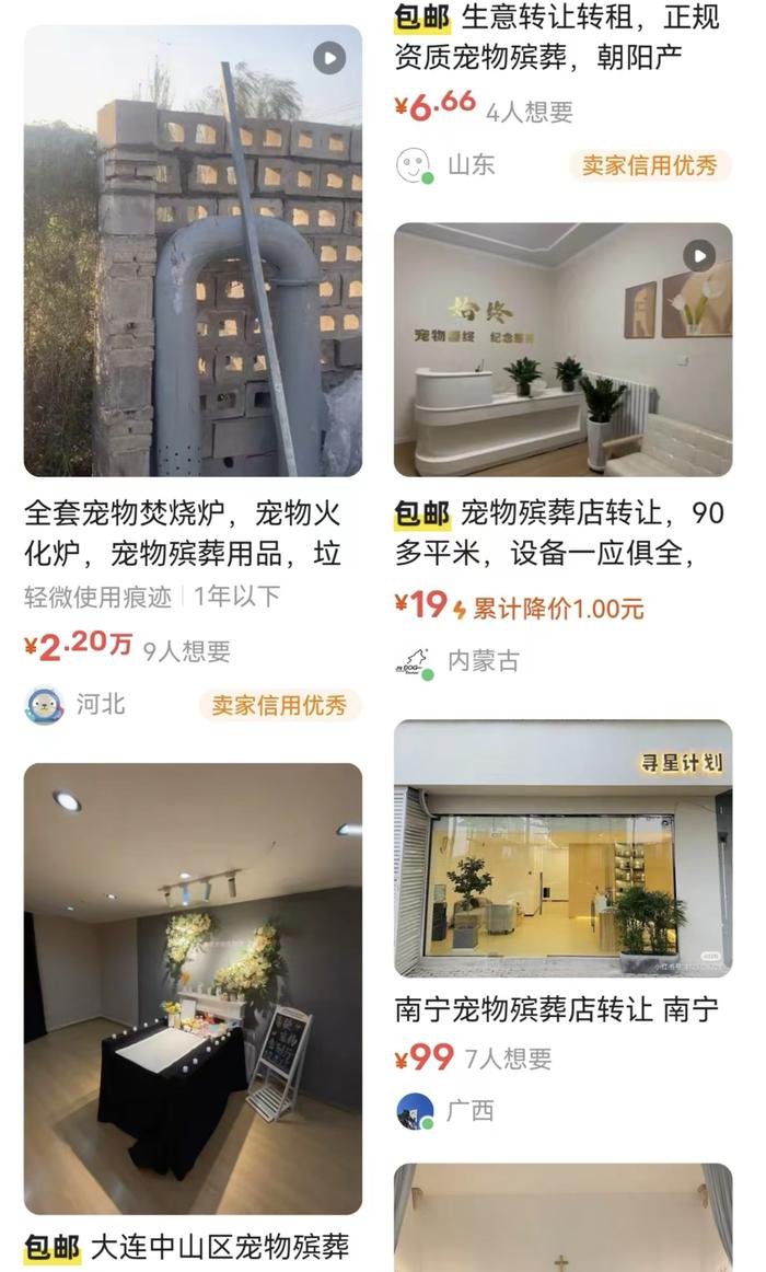 哪里可以培训宠物殡葬师