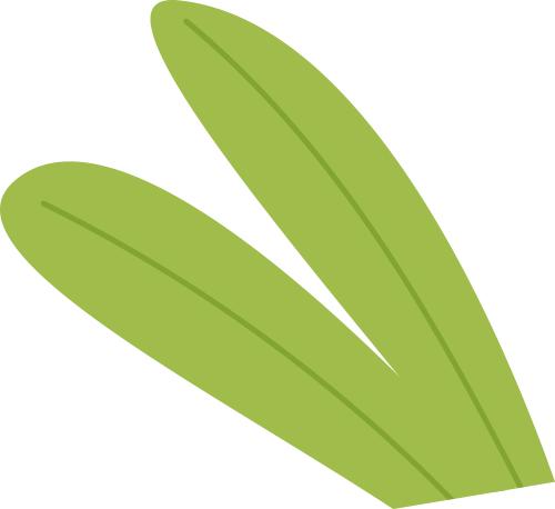 了解税法规定