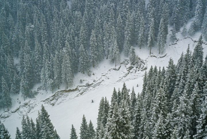 冰雪经济是新兴产业吗