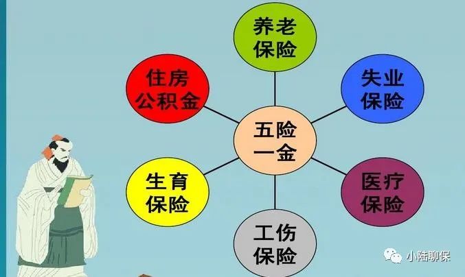 散工属于什么职业