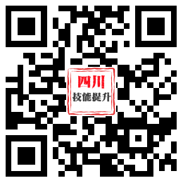 线上职业技能培训