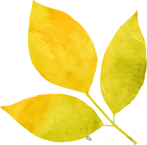 中药茶饮市场现状