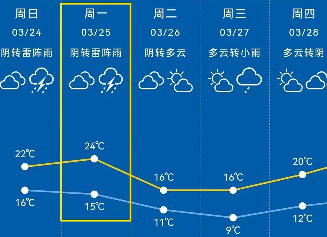 代购平台app有哪些