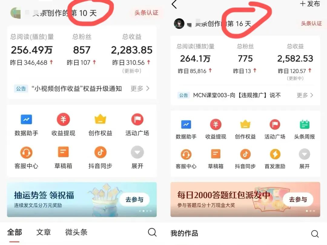 今日头条deepseek指令
