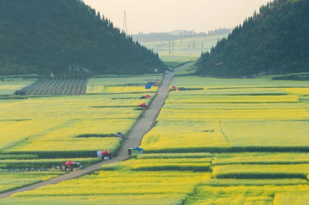 中国十大养老城市