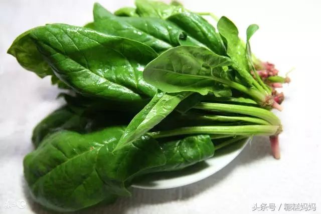 孕妇不能吃哪些食物
