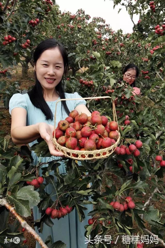 孕妇不能吃哪些食物