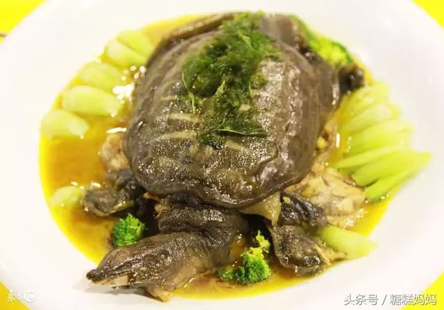 孕妇不能吃哪些食物
