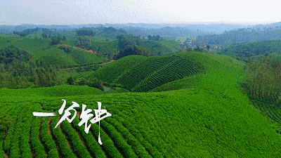 中国十大养老城市
