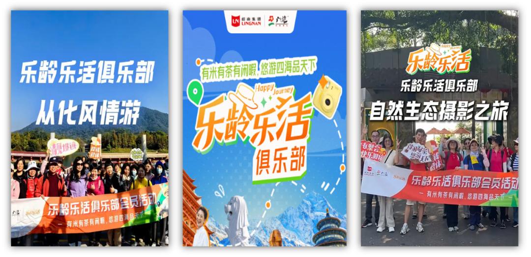 银发游市场现状