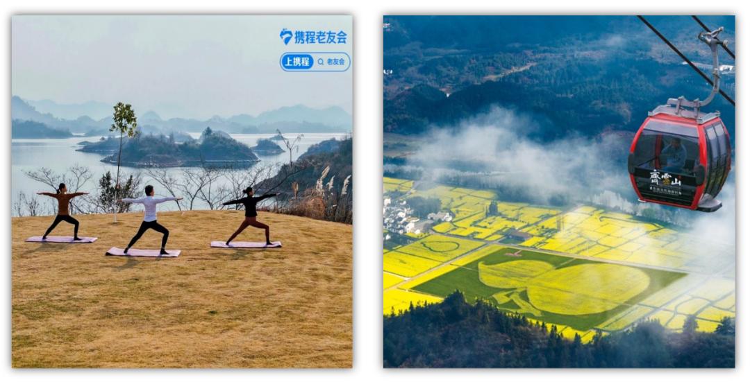 银发游市场现状