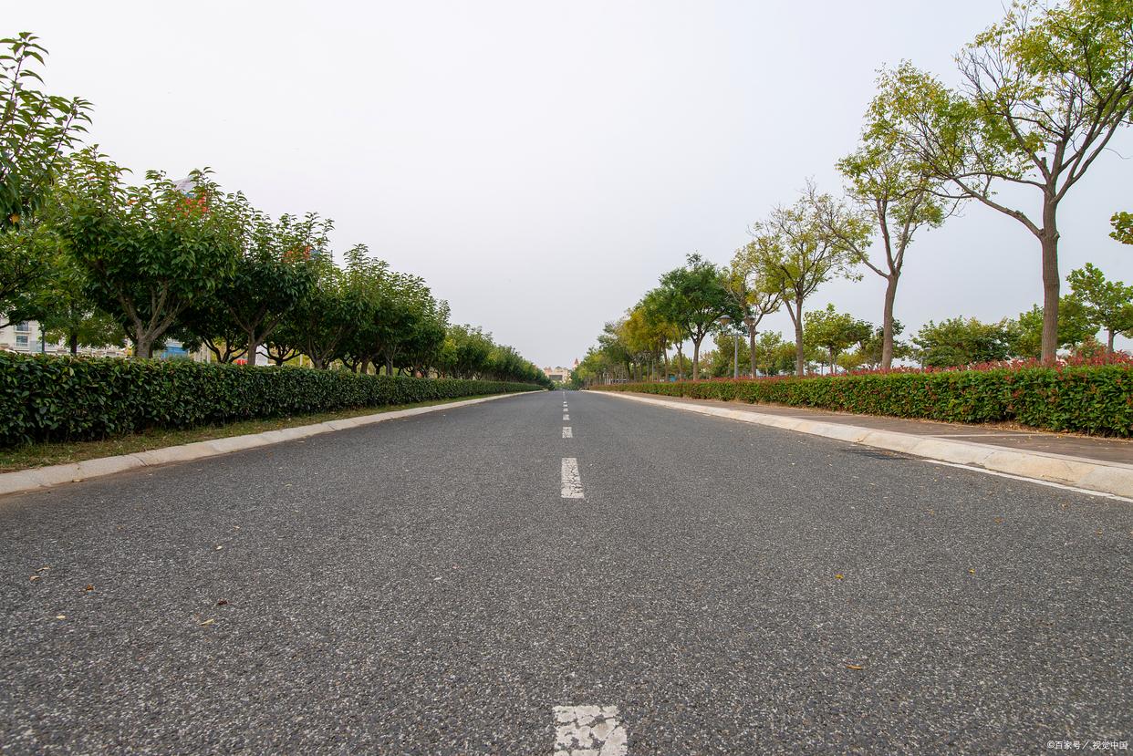 专治嘴笨的口才100句