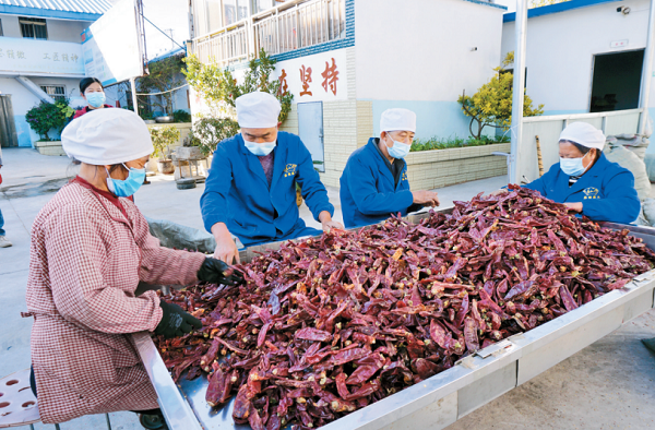 残疾人在家能做什么赚钱